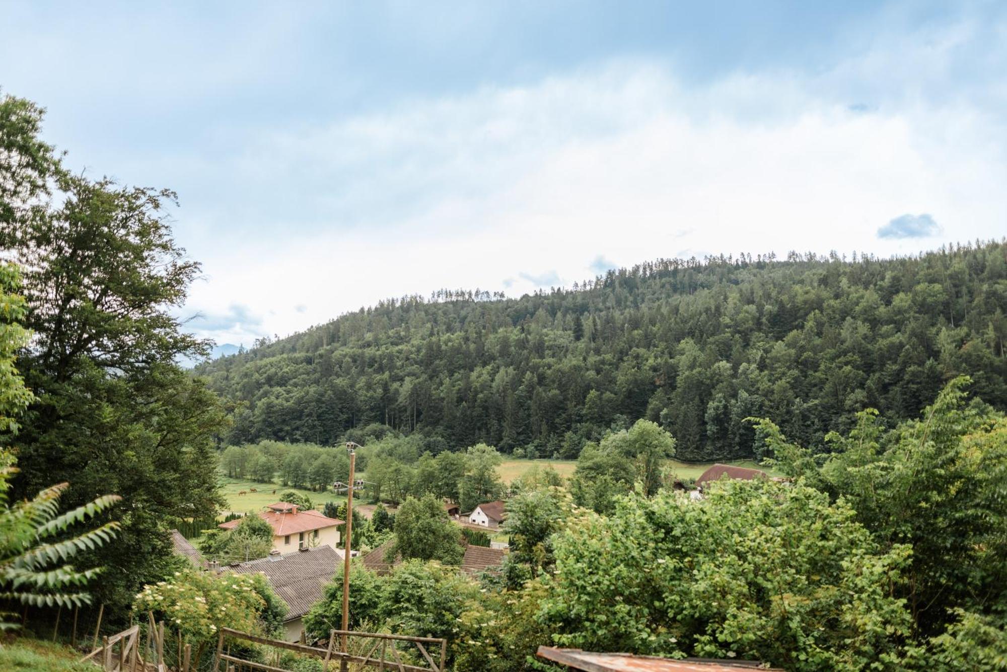 Willa Fernblick Klagenfurt am Woerthersee Zewnętrze zdjęcie
